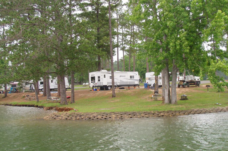 RVs parked on the water in the woods at Wind Creek State Park - Lake Martin, AL
